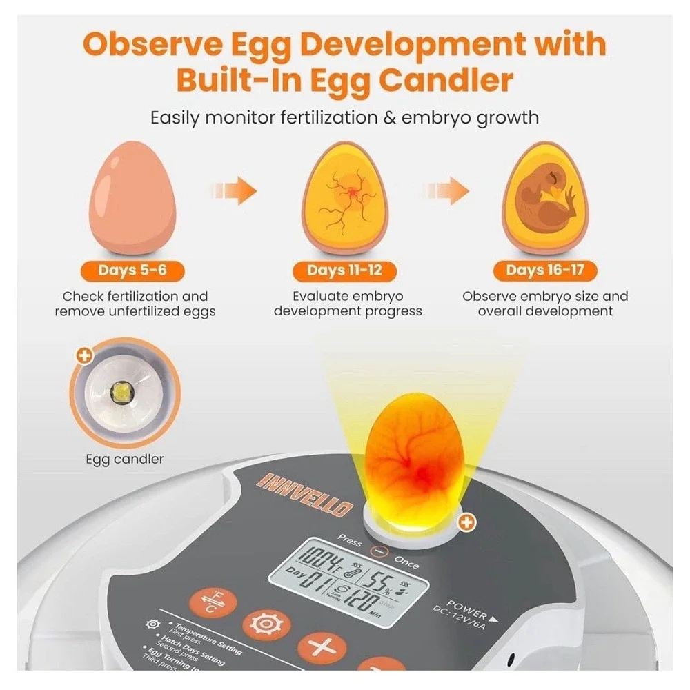 The Unbranded Brand 18 egg